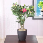 Faux Camellia Bonsai In Ceramic Pot - Pink